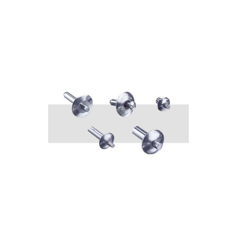 Rivet