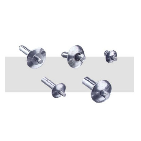 Rivet