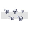 Rivet