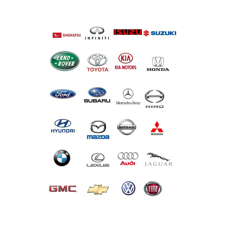 Car Spare and Body Party